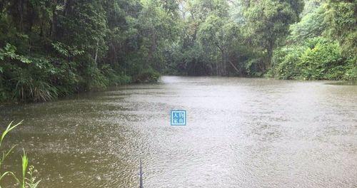 雨天钓鱼技巧（让你在雨天享受钓鱼的乐趣）  第3张