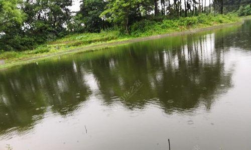 雨天钓鱼的技巧与方法（钓鱼爱好者必备的雨天垂钓指南）  第2张