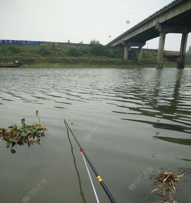 雨天钓鱼小技巧（让你在雨天也能享受到钓鱼的乐趣）  第2张