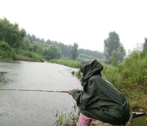 雨天河道垂钓技巧（悄然而至）  第1张