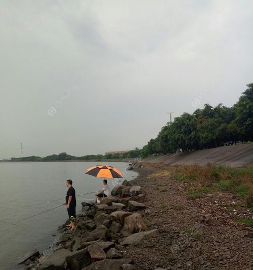 雨天河道垂钓技巧（悄然而至）  第3张