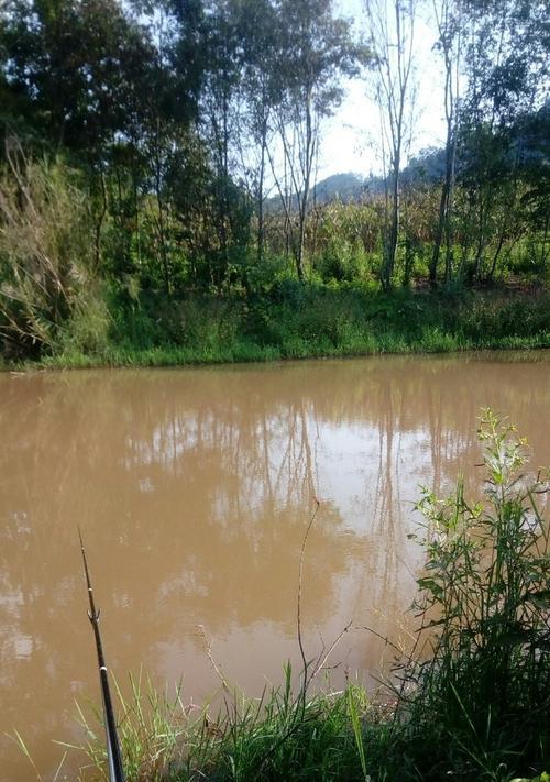 雨天河水浑浊钓鱼技巧（清晰水底觅良机）  第3张