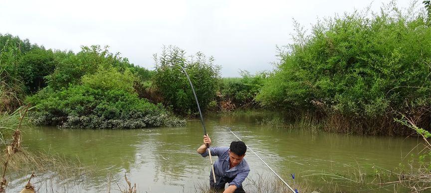 雨天浑水钓鱼的技巧（钓鱼大师分享的雨天浑水钓鱼窍门）  第1张