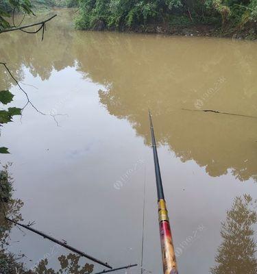 雨天浑水钓鱼的技巧（钓鱼大师分享的雨天浑水钓鱼窍门）  第2张