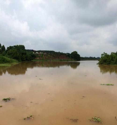 雨天混水钓鱼技巧（雨天混水钓鱼技巧教学）  第3张