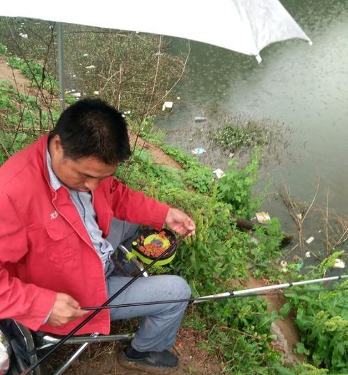 雨天降温钓鱼的技巧与方法（急需这一个）  第2张