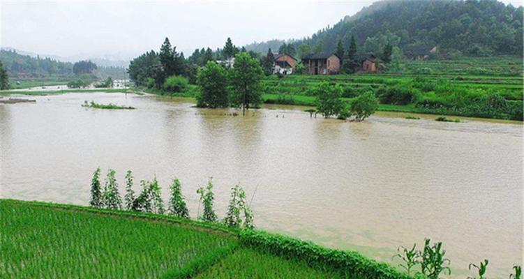 雨天钓鱼的技巧与方法（享受雨中的丰收乐趣）  第1张