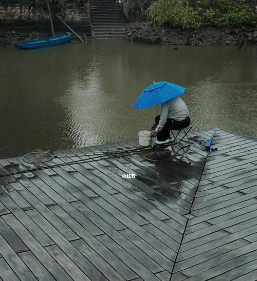 雨天钓鱼的技巧与方法（享受雨中的丰收乐趣）  第3张