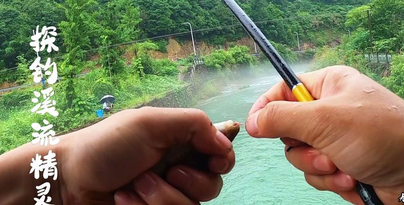 雨天溪流野钓石斑鱼技巧（探寻雨中溪流）  第2张