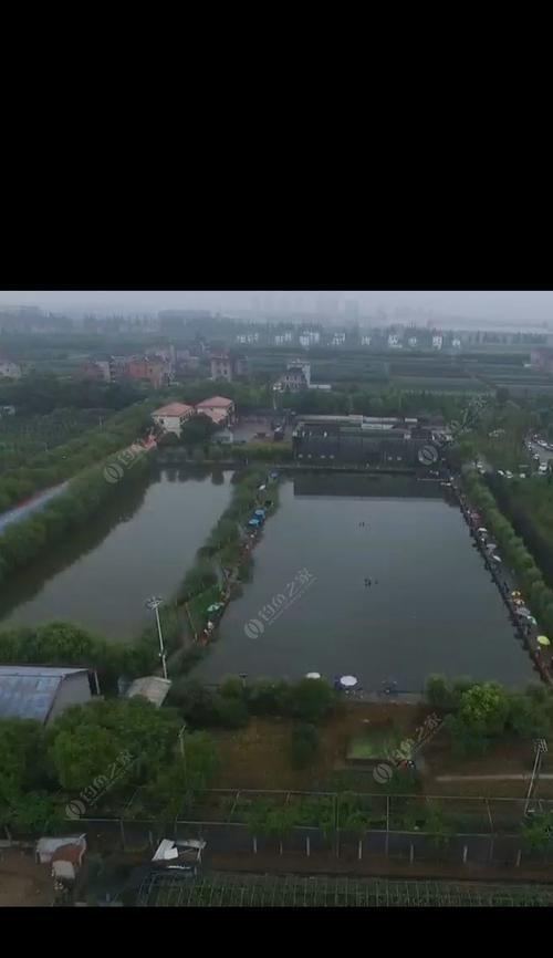 雨天野塘钓鱼技巧（提高钓鱼效果的方法和技巧）  第3张