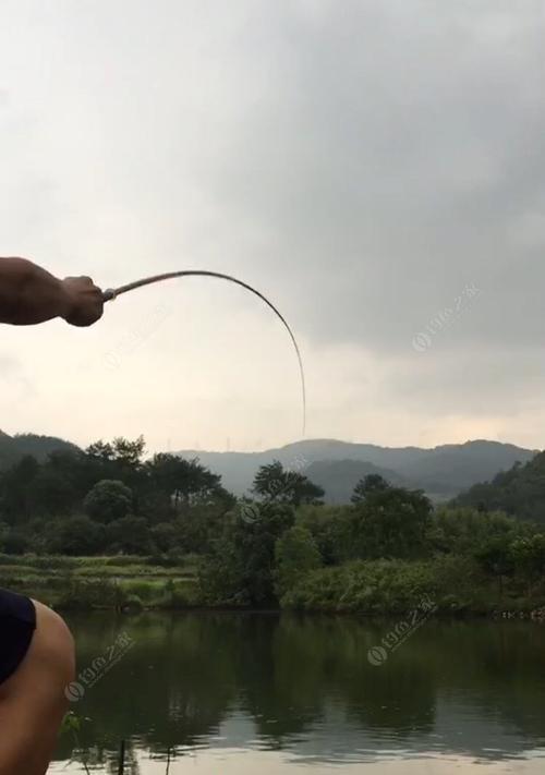 雨天钓鱼技巧（如何在雨天鱼塘获得丰收）  第1张