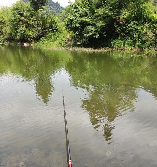 雨天大河钓鱼技巧（掌握关键技巧）  第2张