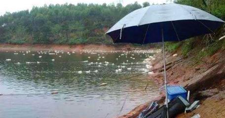 雨天桥下钓鱼的技巧（雨水催发鱼儿活力）  第1张