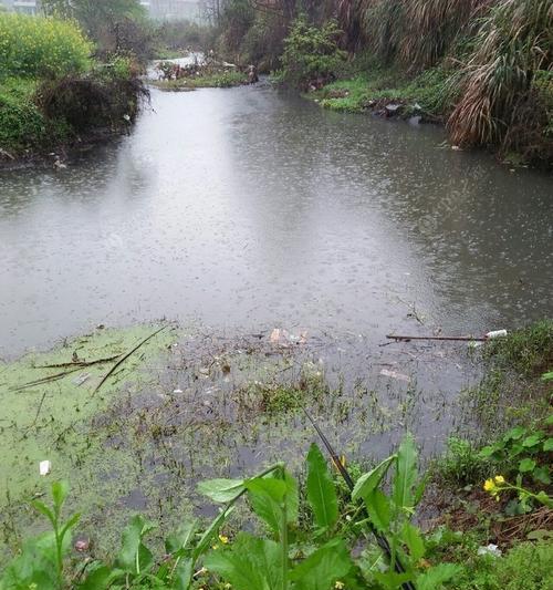 雨天桥下钓鱼的技巧（雨水催发鱼儿活力）  第3张