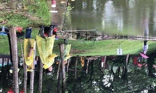 秋雨天早上钓鱼技巧（钓鱼达人教你秋雨天早上钓鱼的窍门）  第1张