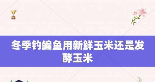 玉米钓鱼挂钩技巧教程（轻松学会玉米钓鱼）  第1张