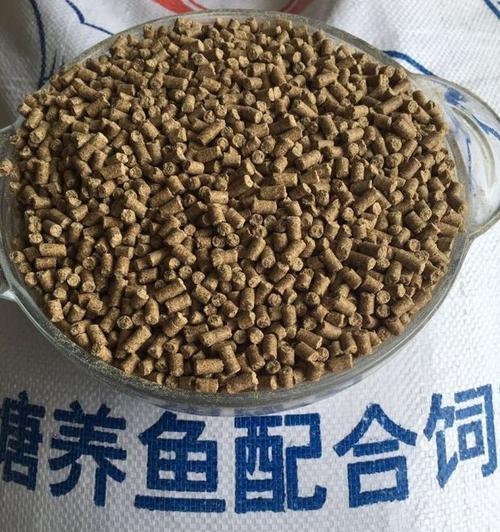 玉米黄豆钓鱼技巧（提高钓鱼成功率的实用技巧）  第1张