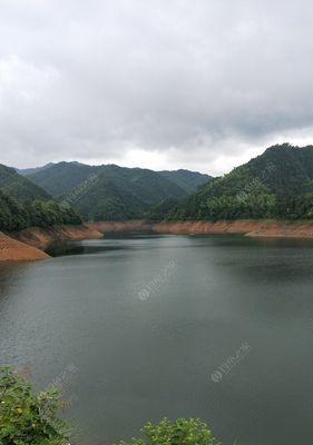 圆塘钓鱼技巧教程（轻松掌握圆塘钓鱼的窍门）  第2张