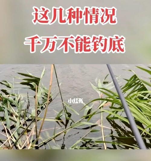 远洋船人工钓鱼技巧（提高钓鱼效率的实用技巧）  第2张