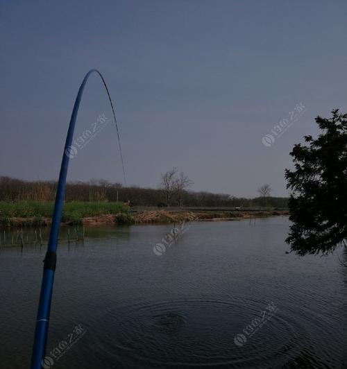 浙江小河沟野钓钓鱼技巧（揭秘浙江小河沟钓鱼的窍门和技巧）  第3张