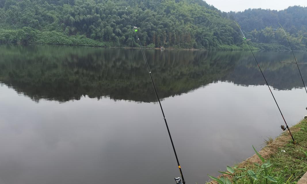 钓鱼高手的黄河冬季技巧（揭秘郑州冬季黄河钓鱼技巧）  第3张