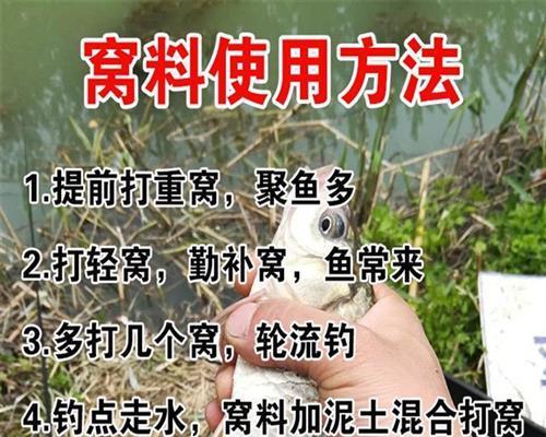 发酵鱼饵的技巧和方法（制作自家优质鱼饵）  第2张