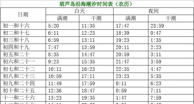 中潮死汛钓鱼技巧（掌握有效的钓鱼方法）  第1张