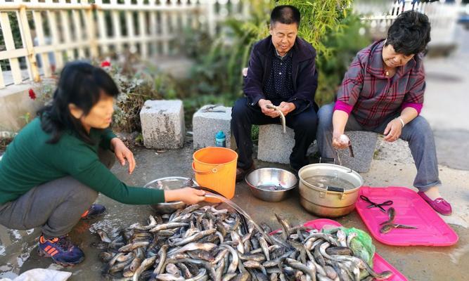 中秋钓鱼技巧大揭秘（从挑选饵料到掌握调整）  第2张