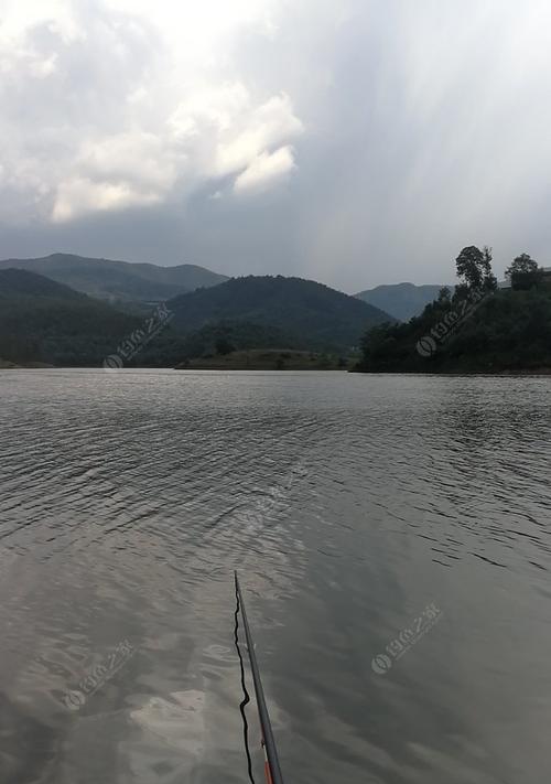 中秋节野钓鲤鱼技巧（享受中秋野钓）  第1张