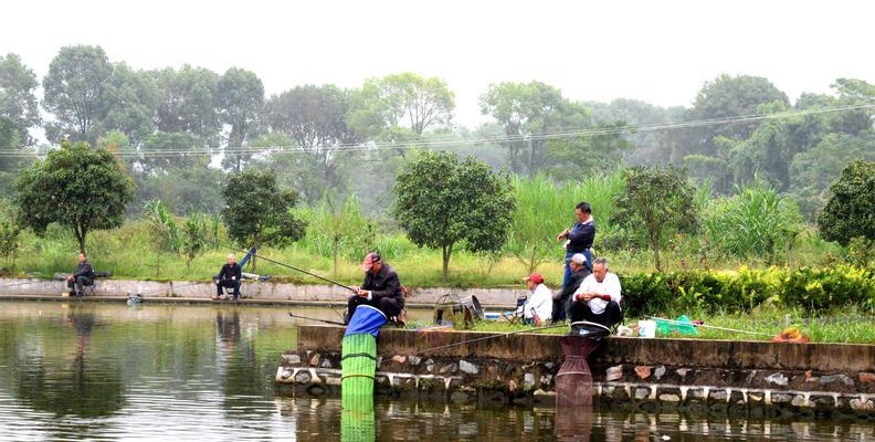 中秋小雨钓鱼技巧（钓鱼爱好者必备的中秋湿雨日技巧）  第2张