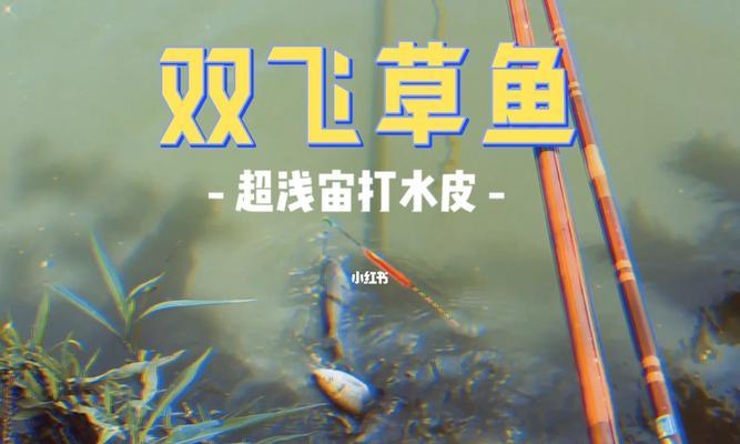 终极钓手的鱼钓技巧（捕获大鱼的必备技巧与策略）  第3张