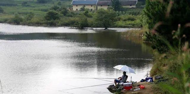 重庆洪湖钓鱼技巧（掌握洪湖钓鱼技巧）  第2张