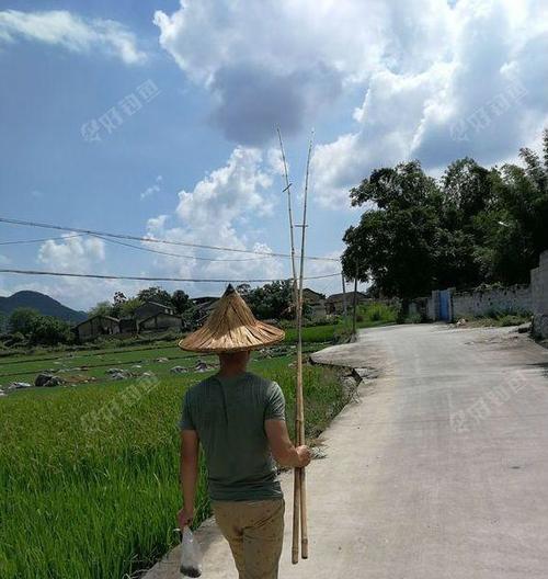 竹竿钓鱼的技巧与方法（传统钓鱼方式的魅力与窍门）  第3张