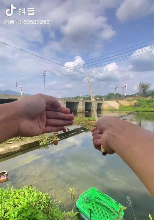 钓鱼新招，竹竿神技巧（打破常规）  第3张