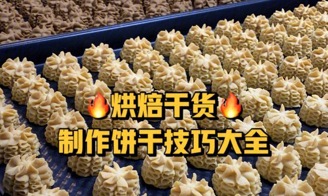 饼干钓鱼技巧教程？如何利用饼干作为诱饵提高钓鱼成功率？  第3张