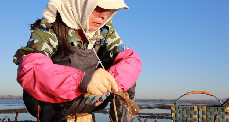 渤海湾海域钓鱼技巧有哪些？如何提高钓鱼成功率？  第2张