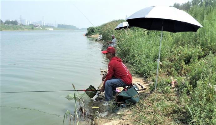 不足1米浅水钓鱼技巧有哪些？如何提高钓鱼成功率？  第3张