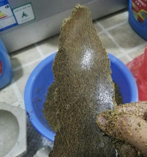 菜籽饼钓鱼技巧有哪些？如何提高使用菜籽饼的钓鱼效率？  第1张