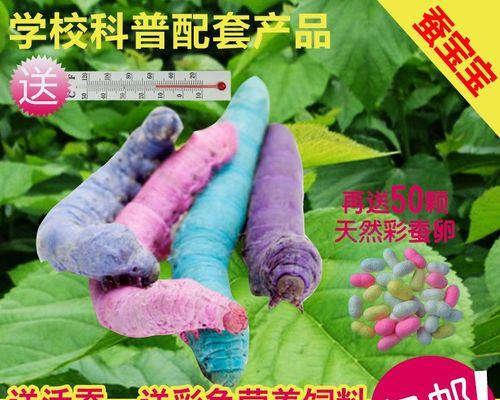 蚕虫钓鱼技巧教程？如何提高钓鱼成功率？  第2张