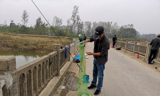 城市河道垂钓技巧与方法是什么？如何提高垂钓成功率？  第2张