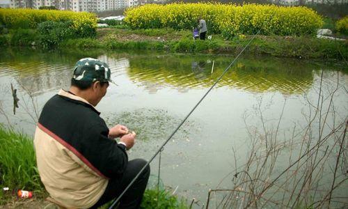 池塘抽干水钓鱼技巧有哪些？如何提高钓鱼效率？  第1张