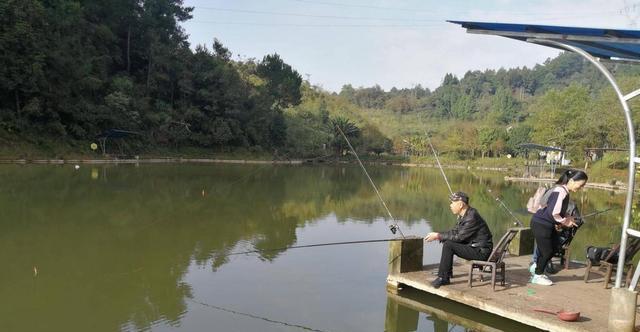 池塘垂钓技巧粹有哪些？如何提高垂钓成功率？  第1张