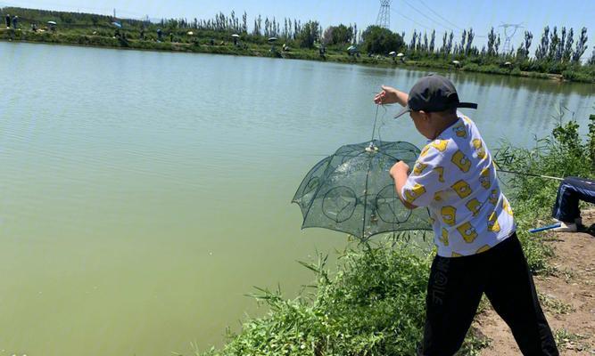 池塘钓鱼技巧和常见问题有哪些？如何提高钓鱼成功率？  第3张