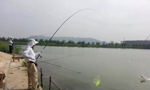 池塘里下雨钓鱼技巧是什么？如何提高雨天钓鱼成功率？  第3张