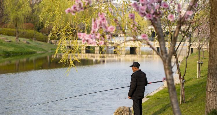 初春4米水深钓鱼技巧是什么？如何提高钓鱼成功率？  第2张