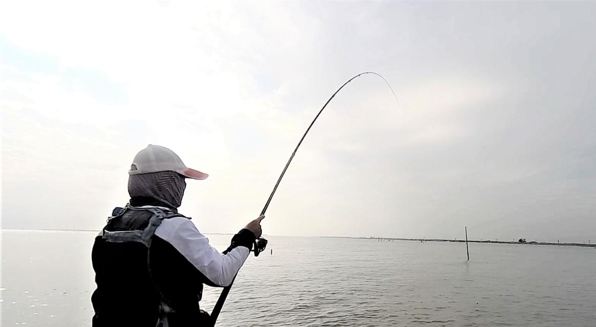 初春钓鱼技巧选天气？如何根据天气选择最佳钓鱼时机？  第3张