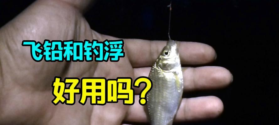 初春飞铅钓鱼技巧有哪些？如何提高初春钓鱼的效率？  第2张