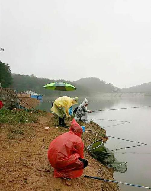 初春肥水塘钓鱼用什么饵料好？如何根据天气调整用饵策略？  第1张