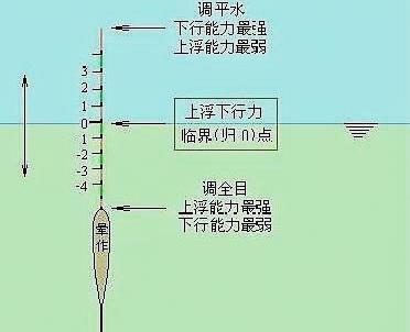 初冬钓鱼调漂技巧和方法是什么？如何应对初冬钓鱼的挑战？  第3张