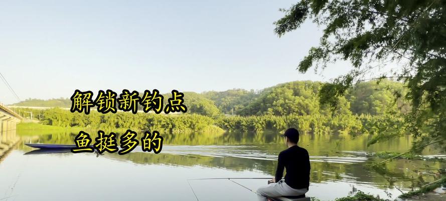 初冬湖野钓鲫鱼技巧有哪些？如何提高钓鲫鱼的成功率？  第1张